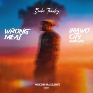 Baba Tundey – Wrong Meat